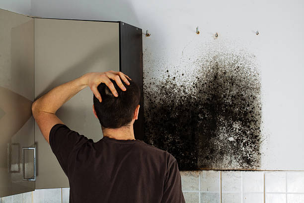 Best Residential Mold Remediation in Enigma, GA